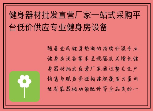 健身器材批发直营厂家一站式采购平台低价供应专业健身房设备