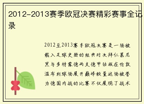 2012-2013赛季欧冠决赛精彩赛事全记录