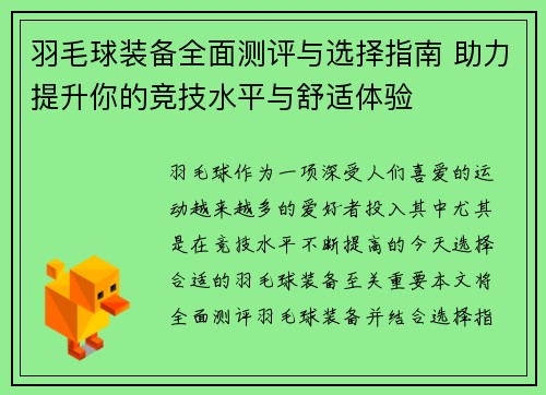 羽毛球装备全面测评与选择指南 助力提升你的竞技水平与舒适体验